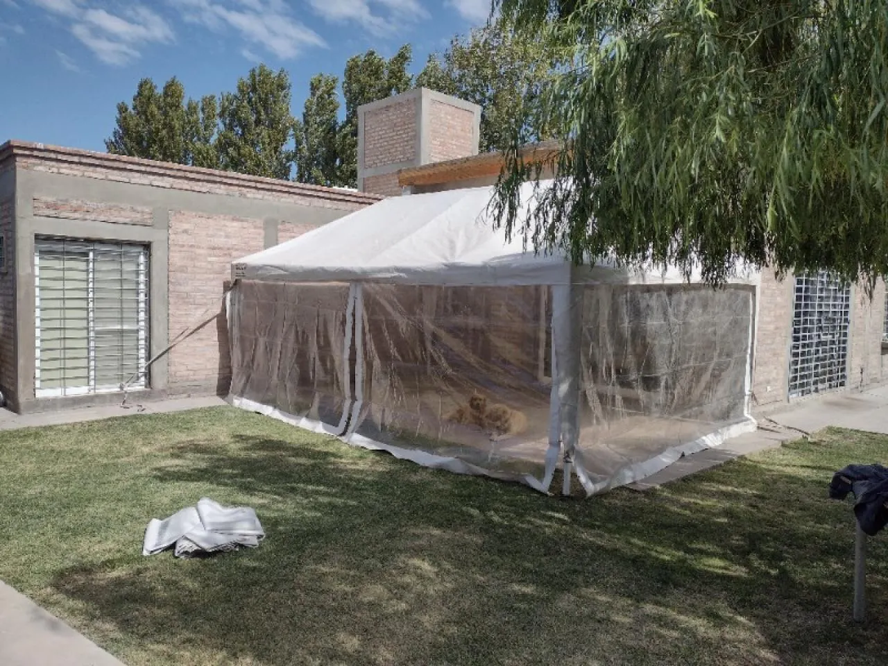 Carpas Estructural, Beduinas Pérgolas De Sombreó Y Gazebos Para Eventos · foto 3