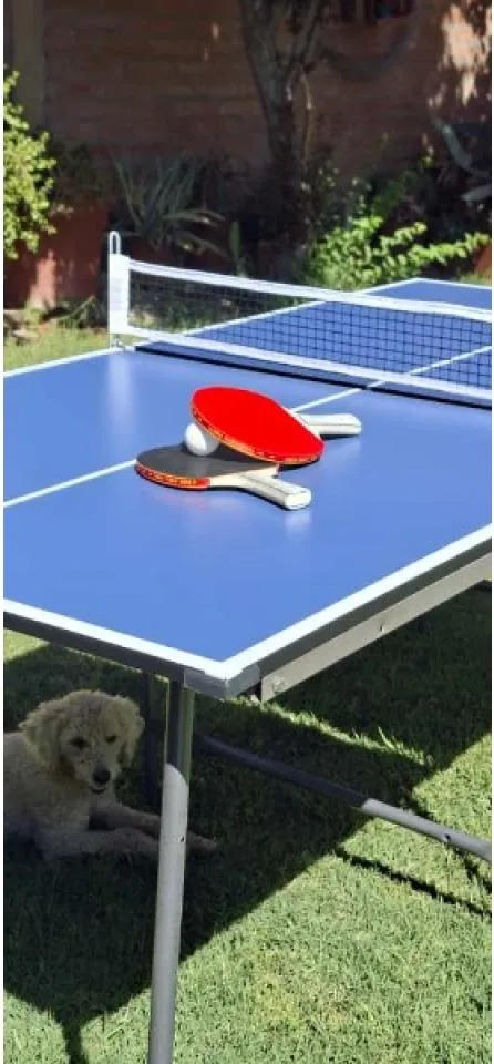Juegos Para Eventos- Magames · foto 4