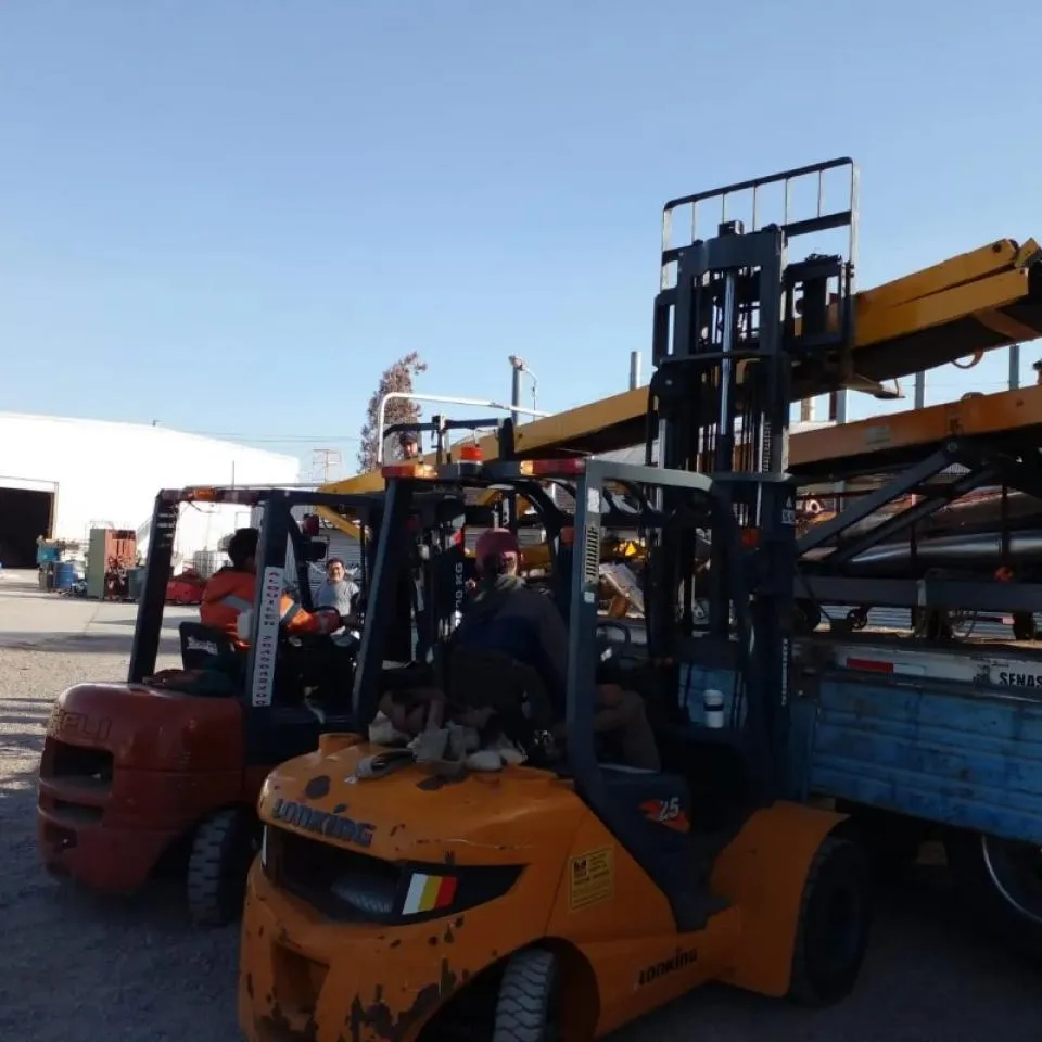 Alquiler De Minicargadora Y Autoelevadores · foto 7