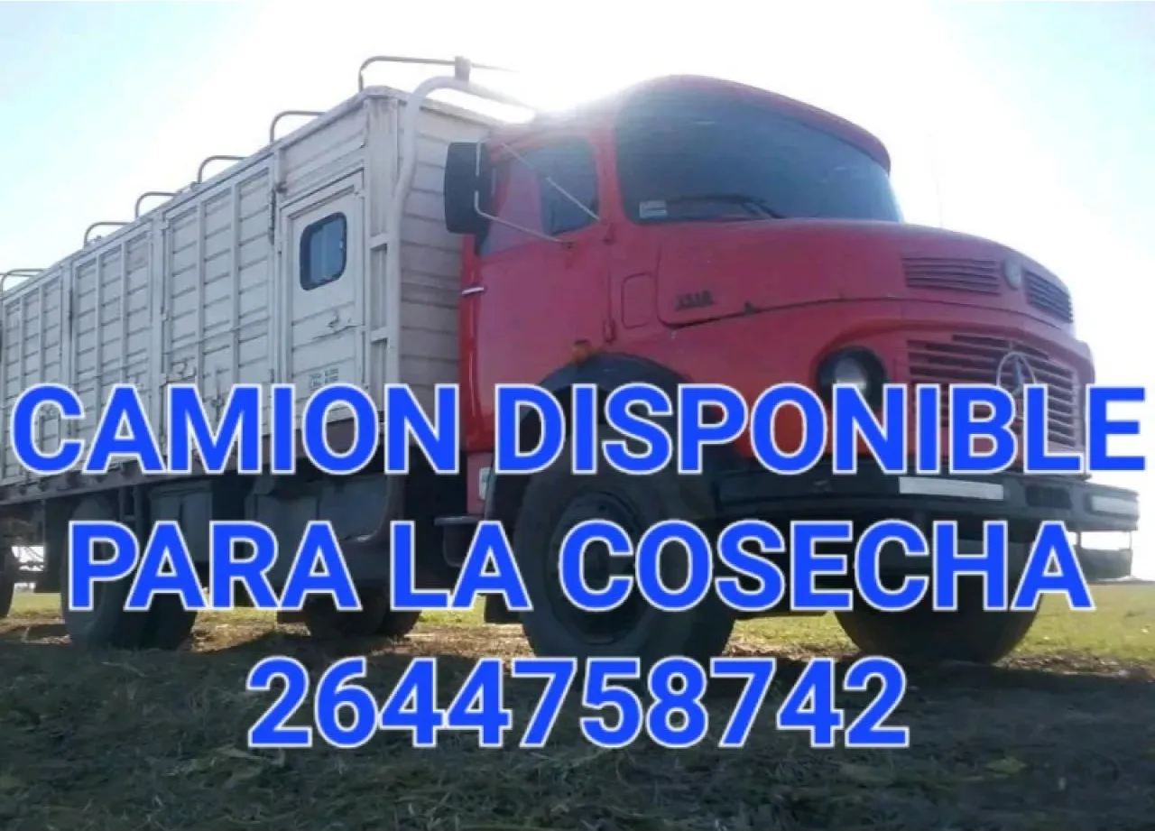 Camion Para Fletes De Todo Tipo Y Mudanzas · foto 2