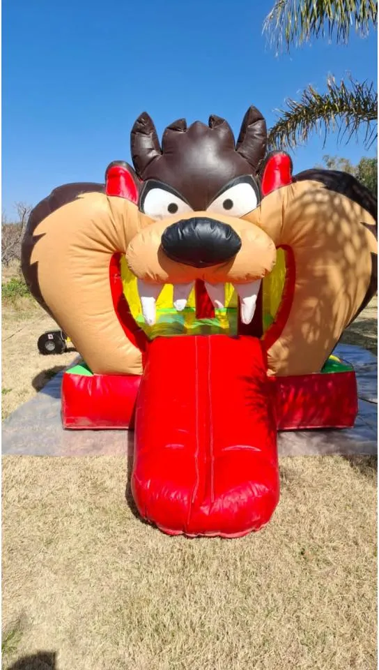 Alquiler De Castillo Inflable Y Metegol · foto 3