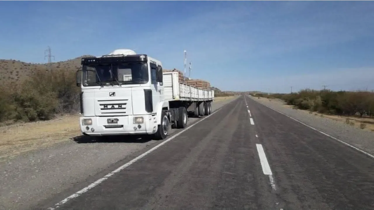 Camion Con Semirremolque Traslados, Viajes · foto 2