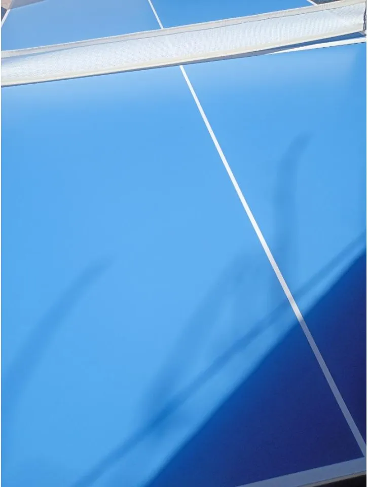 Alquiler De Mesa De Ping Pong. Medida Profesional · foto 6