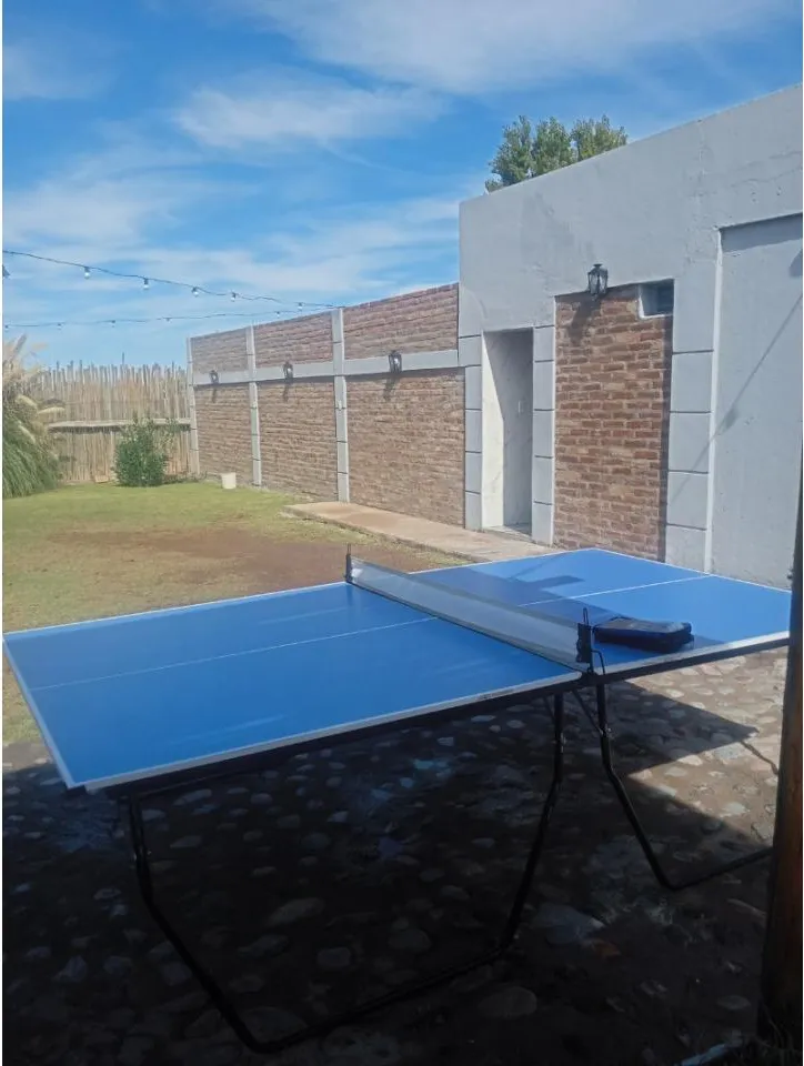 Alquiler De Mesa De Ping Pong. Medida Profesional · foto 2