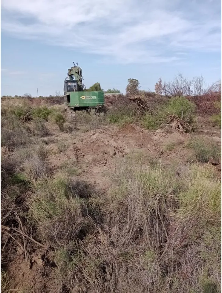 Alquiler De Máquina Excavadora · foto 7