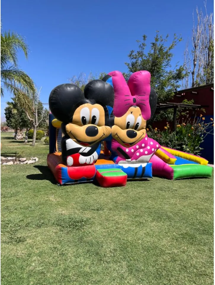Inflable Minnie Y Mickey, Princesas , Unicornio · foto 4