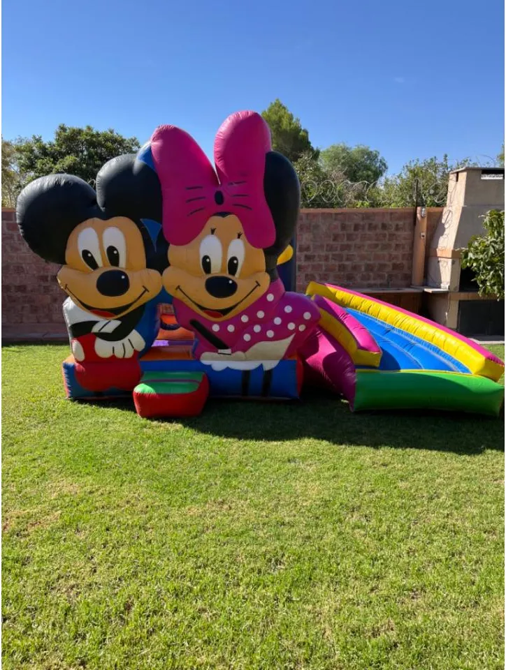 Inflable Minnie Y Mickey, Princesas , Unicornio · foto 5