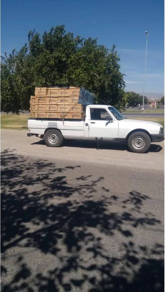 Fletes - Mini Fletes - Traslado De Paqueteria · foto 2