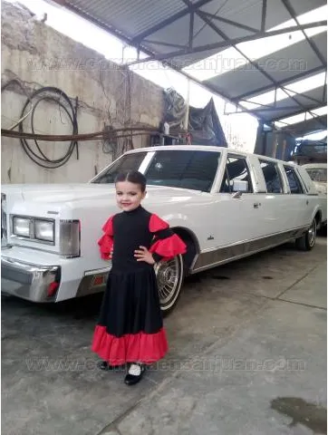 Ford Lincoln Limusinne Para Alquiler · foto 6