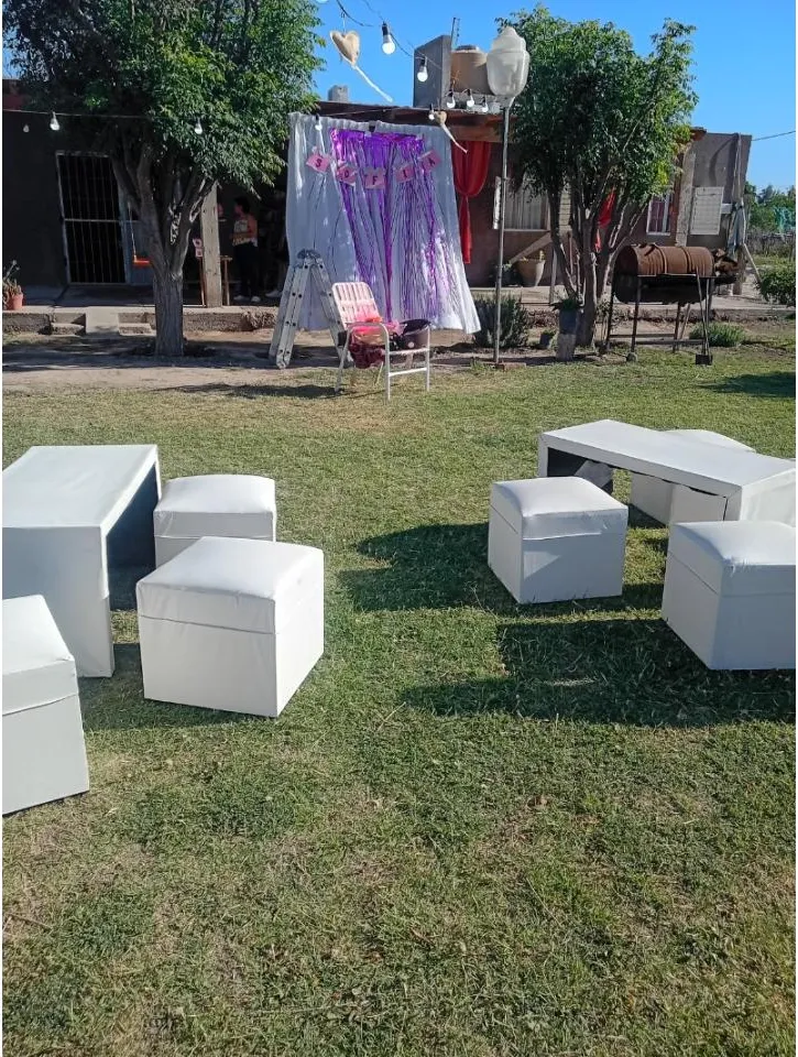 Neon Servicio De Alquiler De Juegos De Living Para Todo Tipo De Eventos · foto 4