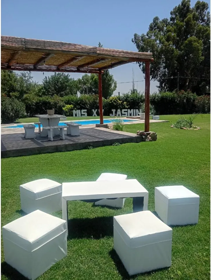 Neon Servicio De Alquiler De Juegos De Living Para Todo Tipo De Eventos · foto 5