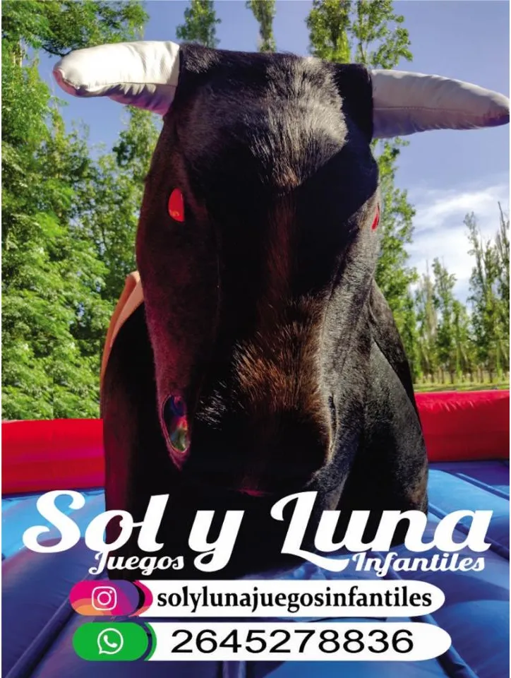 Sol Y Luna Juegos Infantiles Alquiler De Toro Mecanico 2026 Nuevo Movimiento Castillos · foto 2