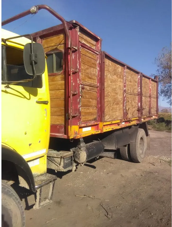 Fletes Y Mudanzas Cargas Paletizadas Camión Volcador · foto 2