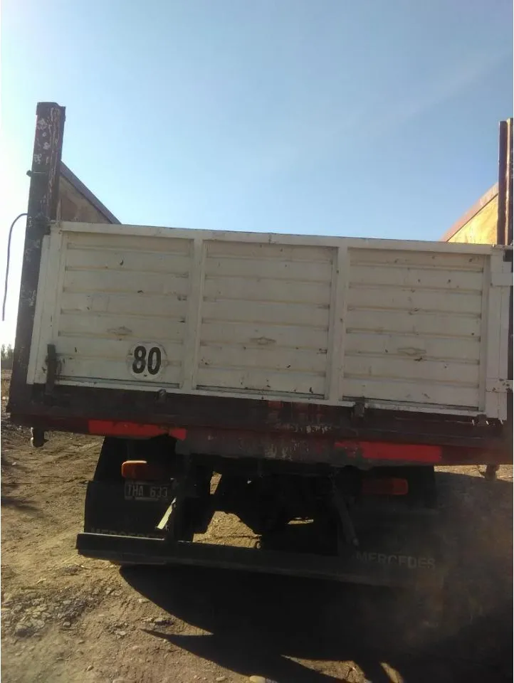 Fletes Y Mudanzas Cargas Paletizadas Camión Volcador · foto 3