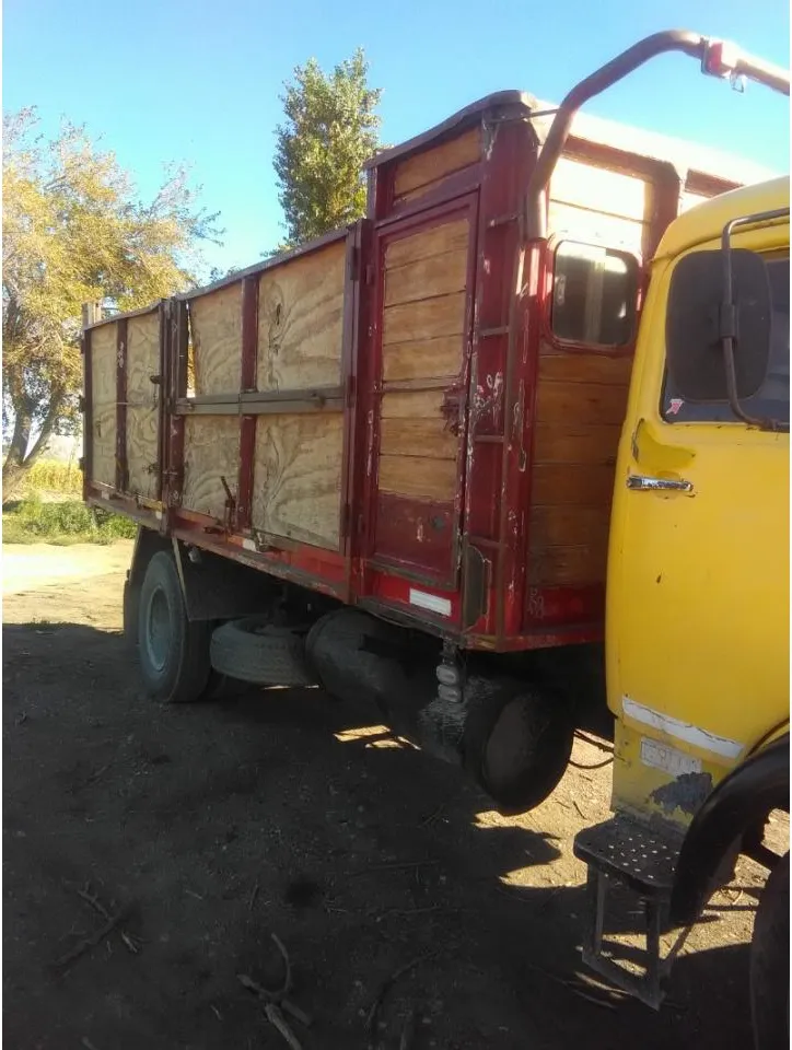 Fletes Y Mudanzas Cargas Paletizadas Camión Volcador · foto 4