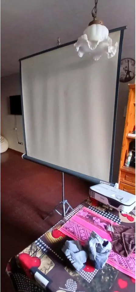 Pantalla Y Proyector Epson · foto 2