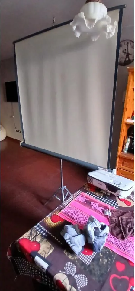 Pantalla Y Proyector Epson · foto 4