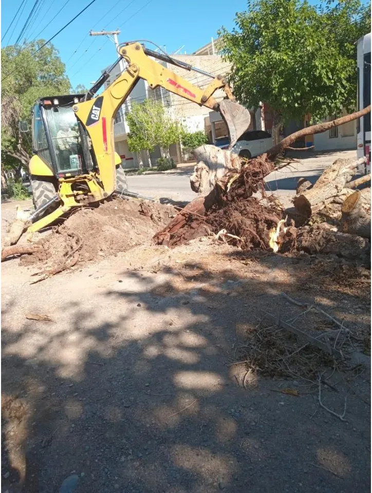 Movimiento De Suelos, Excavaciones, Terraplénes, Nivelaciones, Limpiezas De Terreno, Etc · foto 2