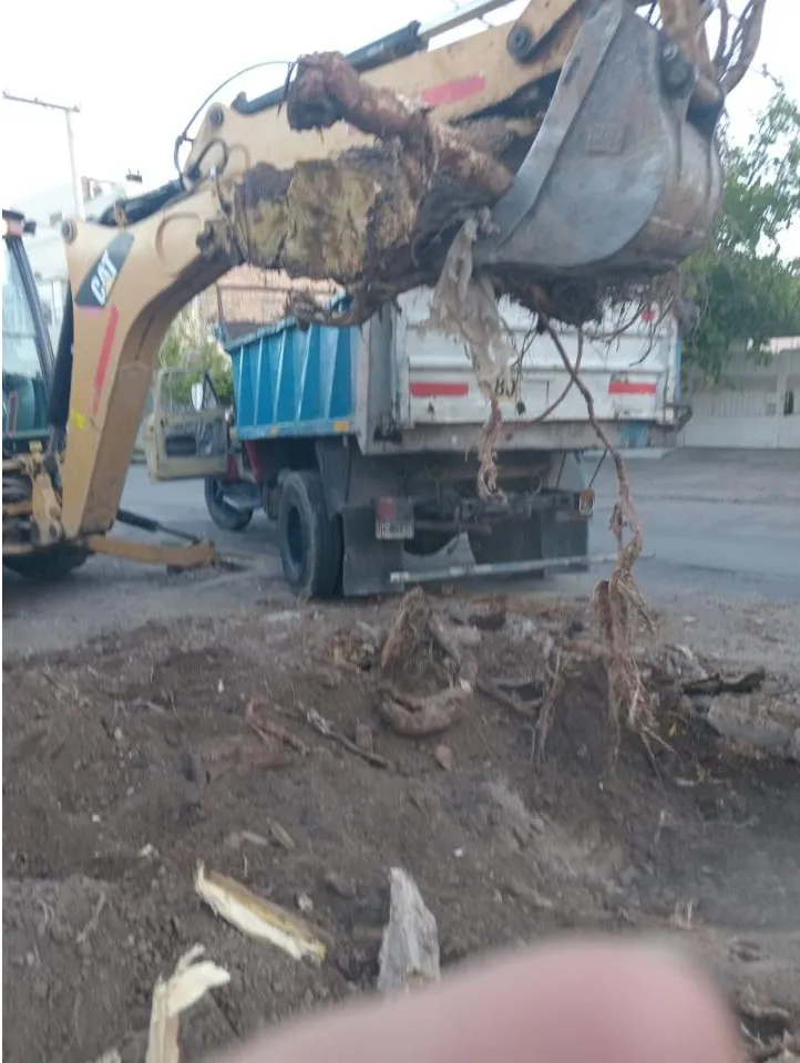 Movimiento De Suelos, Excavaciones, Terraplénes, Nivelaciones, Limpiezas De Terreno, Etc · foto 3