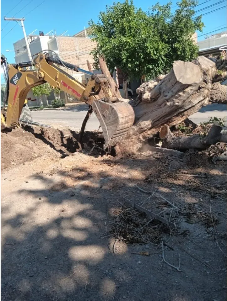 Movimiento De Suelos, Excavaciones, Terraplénes, Nivelaciones, Limpiezas De Terreno, Etc · foto 5
