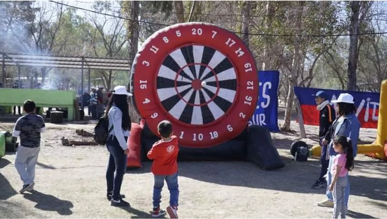 Tiro Al Blanco Y Arco Inflable · foto 6