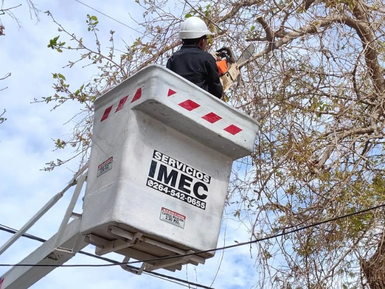 Alquiler De Grúa Hidroelevador 13 Metros De Altura Poda Alumbrado Mantenimiento Eléctrico · foto 3