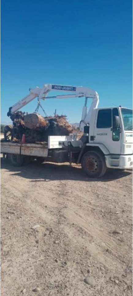 Traslado De Contenedores, Servicios De Elevación Con Hidrogrua · foto 4