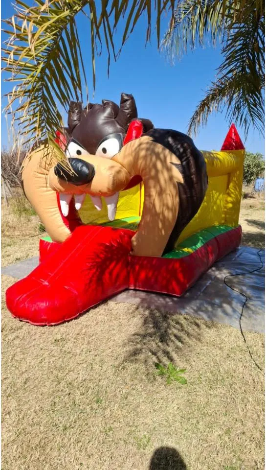 Alquiler De Castillo Inflable Y Metegol · foto 2