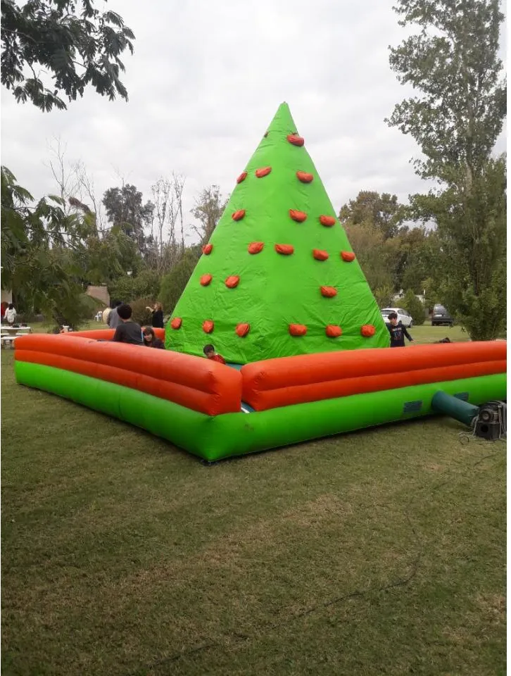 Alquiler De Palestra Para Eventos En Gral. · foto 2