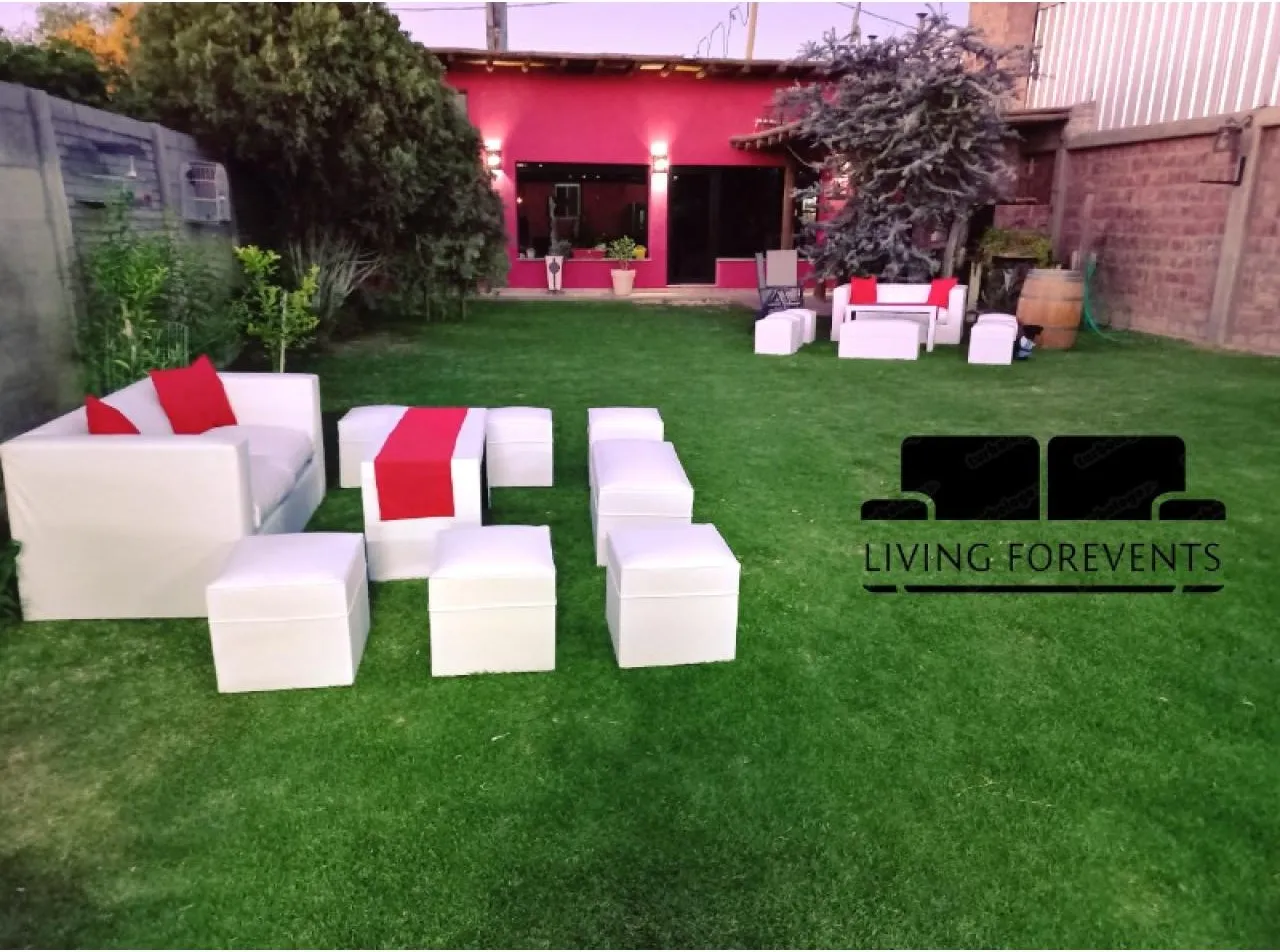 Alquiler De Living Para Eventos. · foto 4